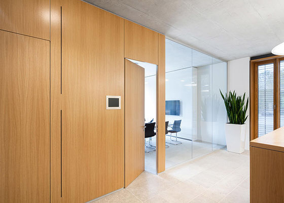 Massive Trennwand Stahl Tür mit Schloss für Büro maßgeschneiderte Größe Schwung Tür